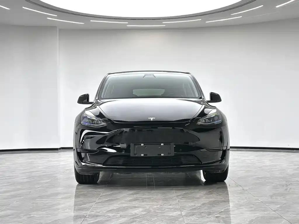 Tesla Model Y 2022 из CN, фото 3