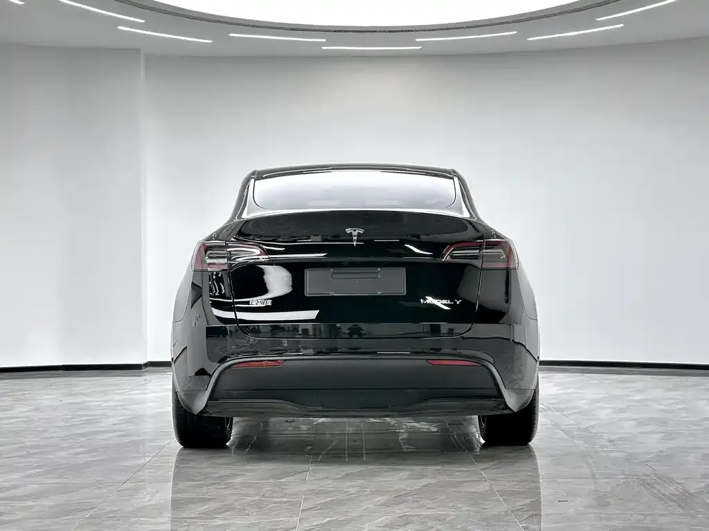 Tesla Model Y 2022 из CN, фото 5