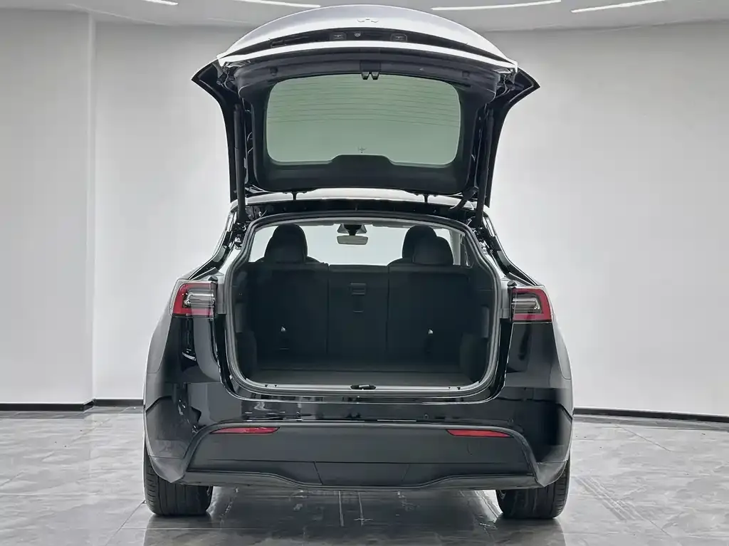 Tesla Model Y 2022 из CN, фото 8