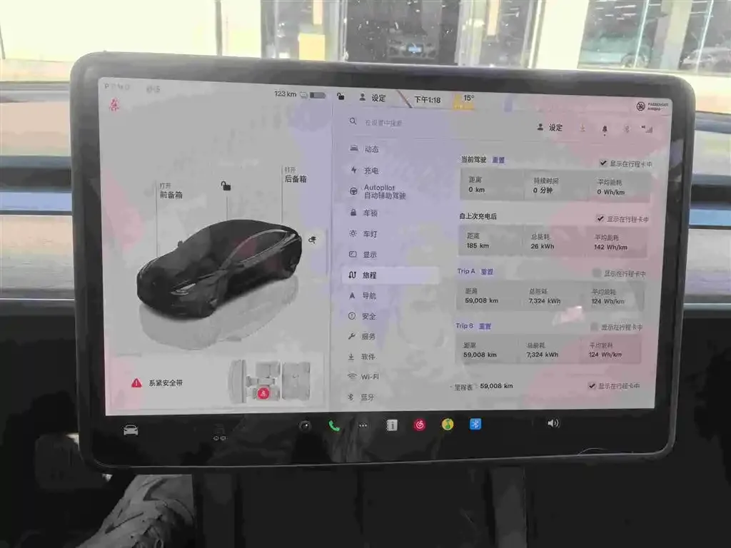 Tesla Model 3 2023 из CN, фото 9