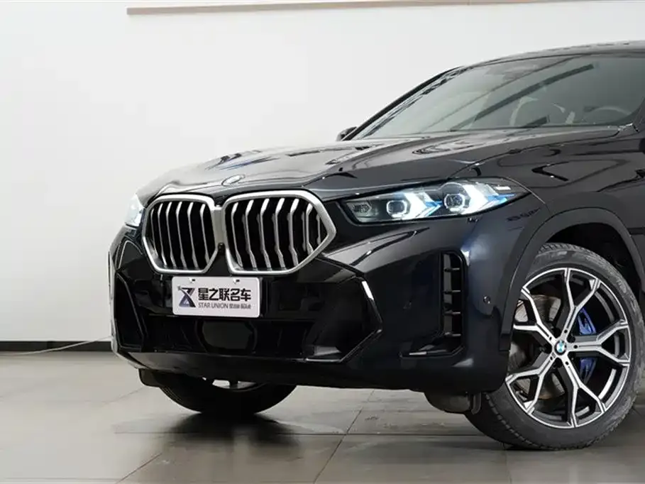 BMW X6 2023 из CN, фото 4
