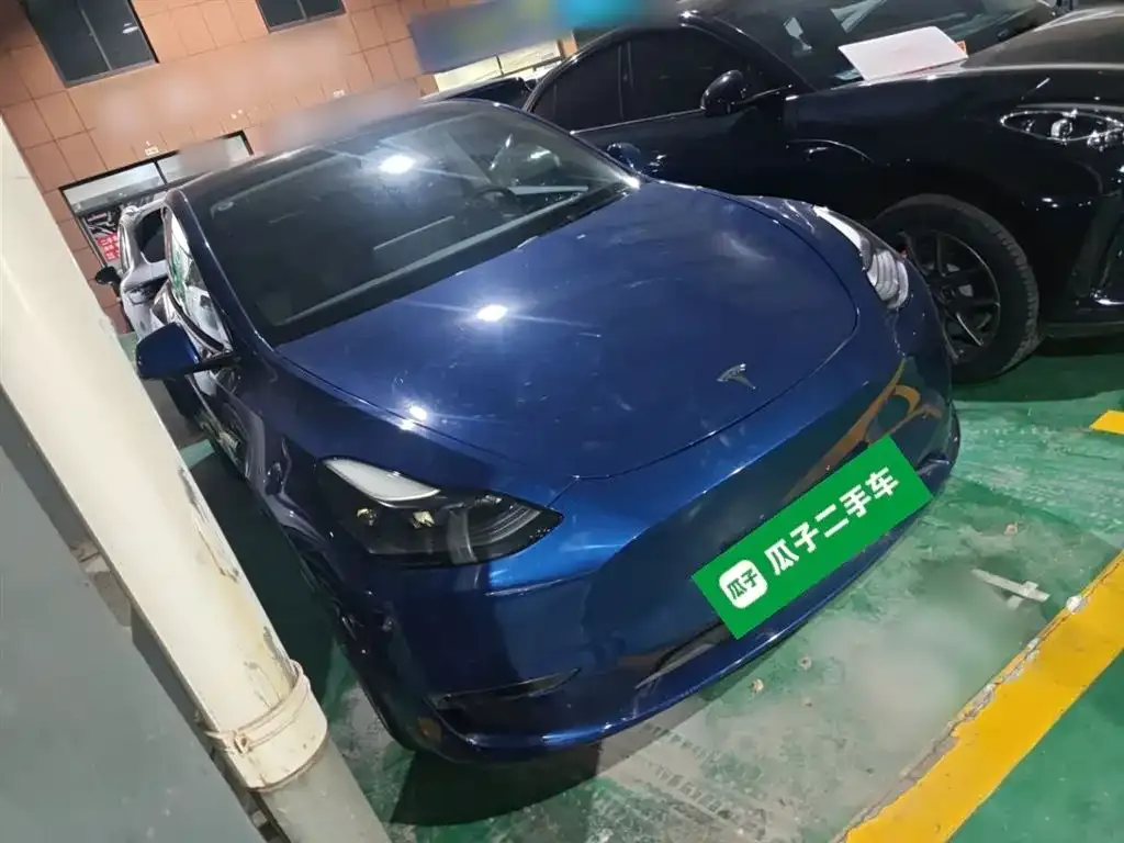 Tesla Model Y 2021 из CN, фото 4