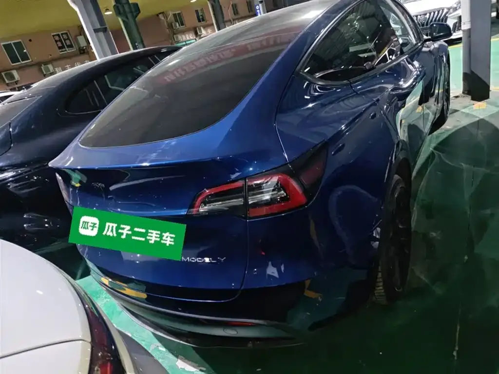 Tesla Model Y 2021 из CN, фото 6