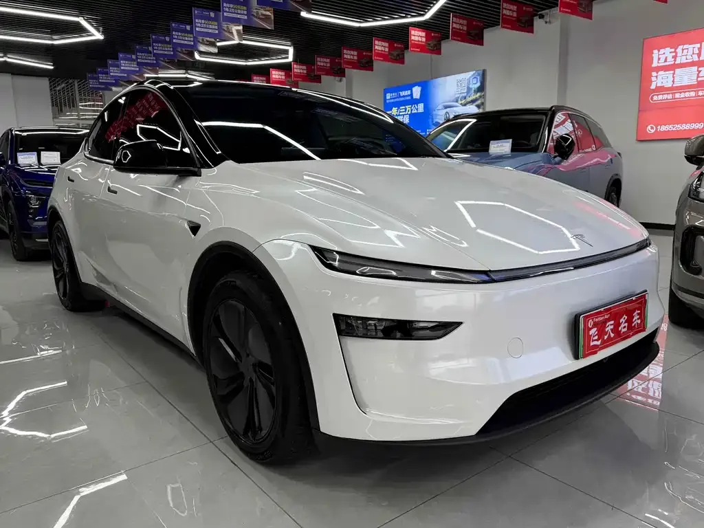 Tesla Model Y 2025 из CN, фото 1