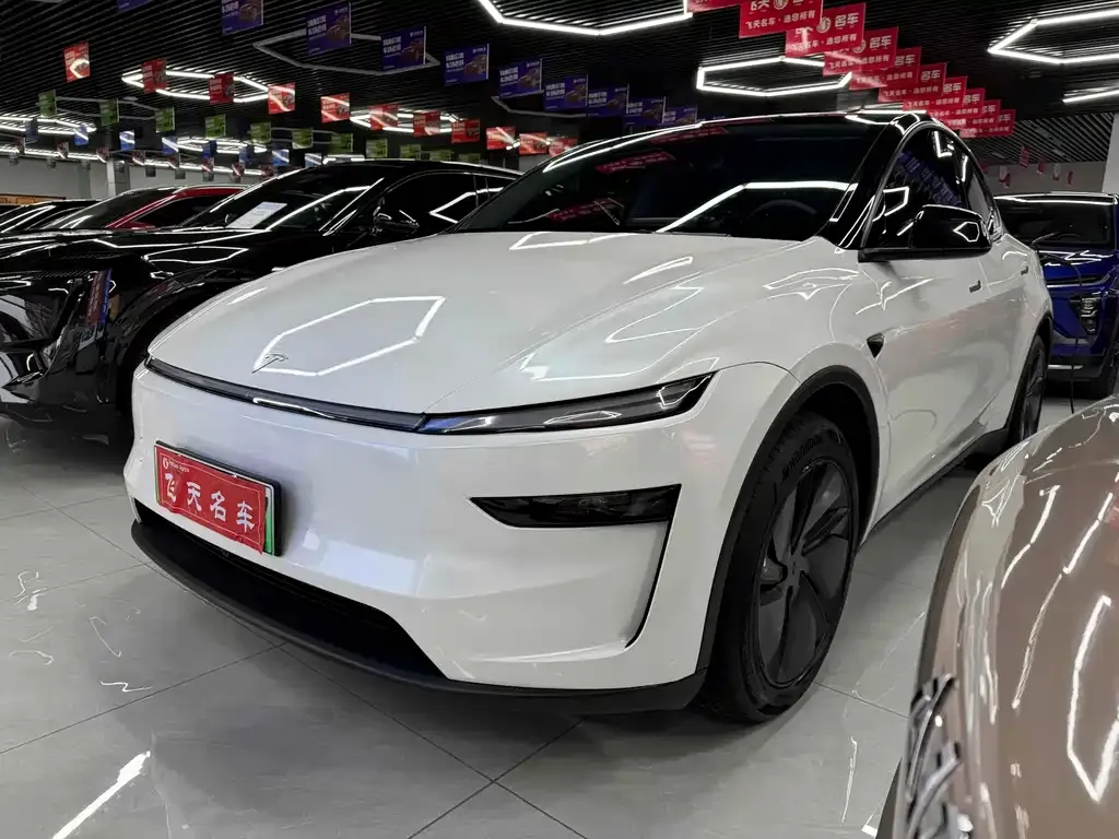 Tesla Model Y 2025 из CN, фото 2