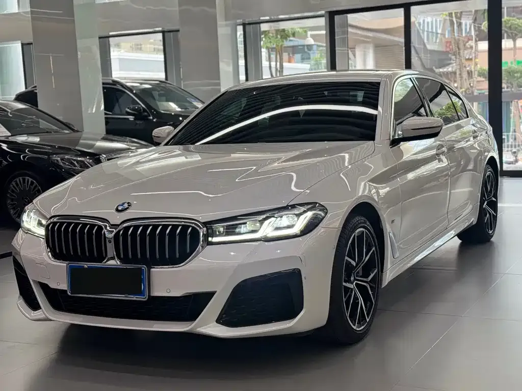BMW 5 Series 2022 из CN, фото 1