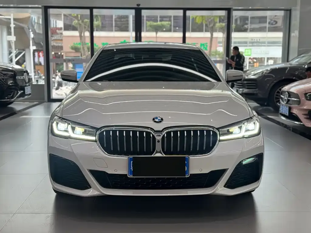 BMW 5 Series 2022 из CN, фото 3