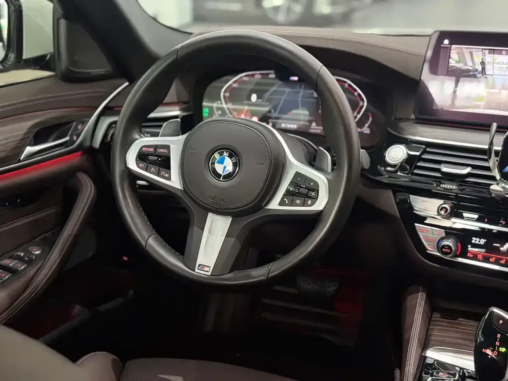 BMW 5 Series 2022 из CN, фото 8