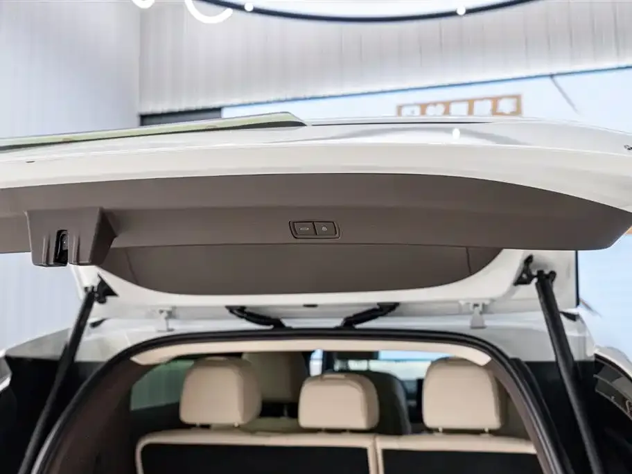 Li Auto MEGA — фото 6