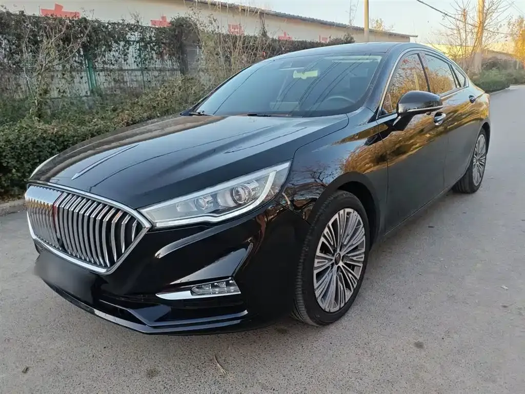 Hongqi H5 2023 из CN, фото 2