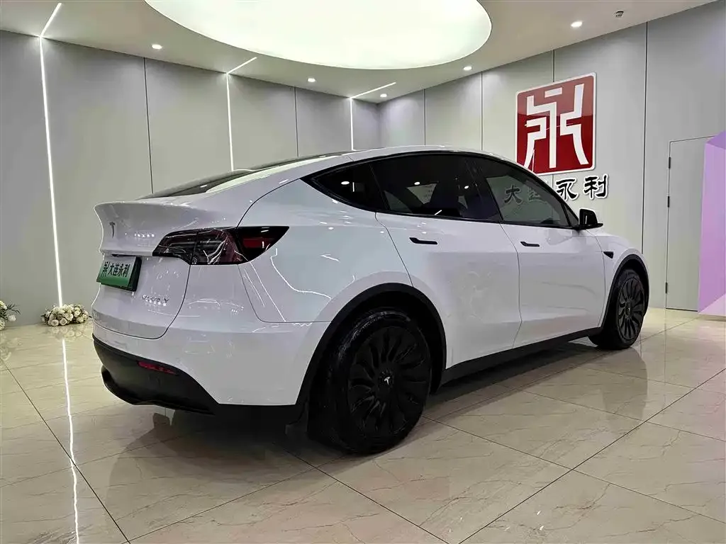 Tesla Model Y 2024 из CN, фото 4