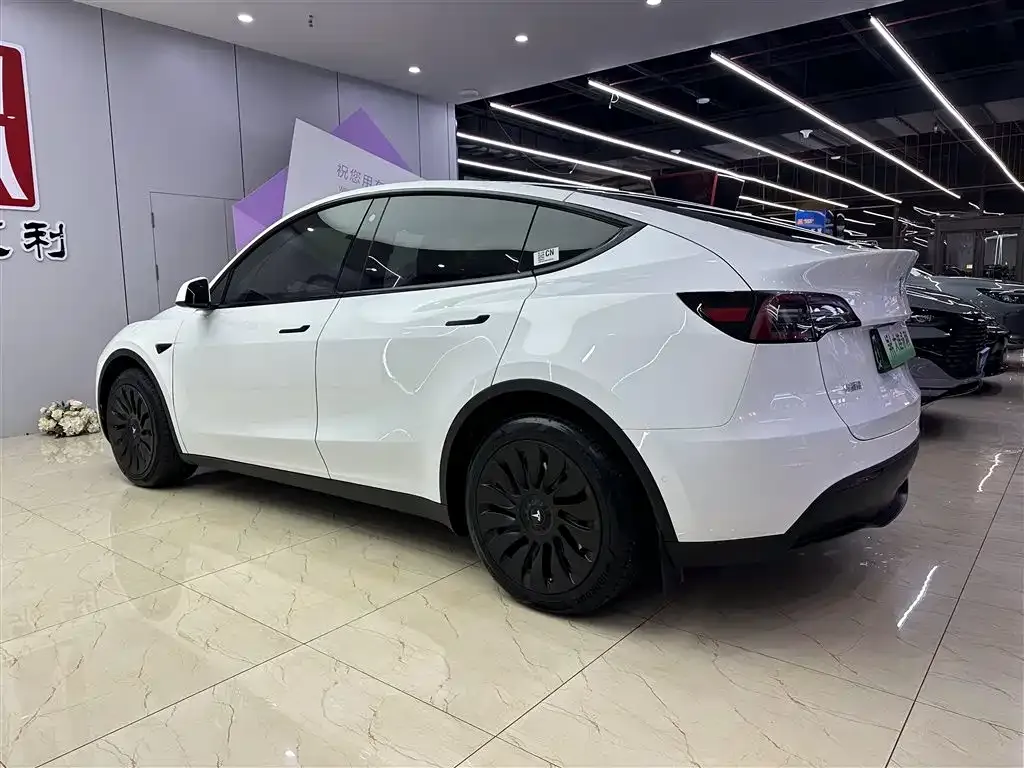 Tesla Model Y 2024 из CN, фото 6
