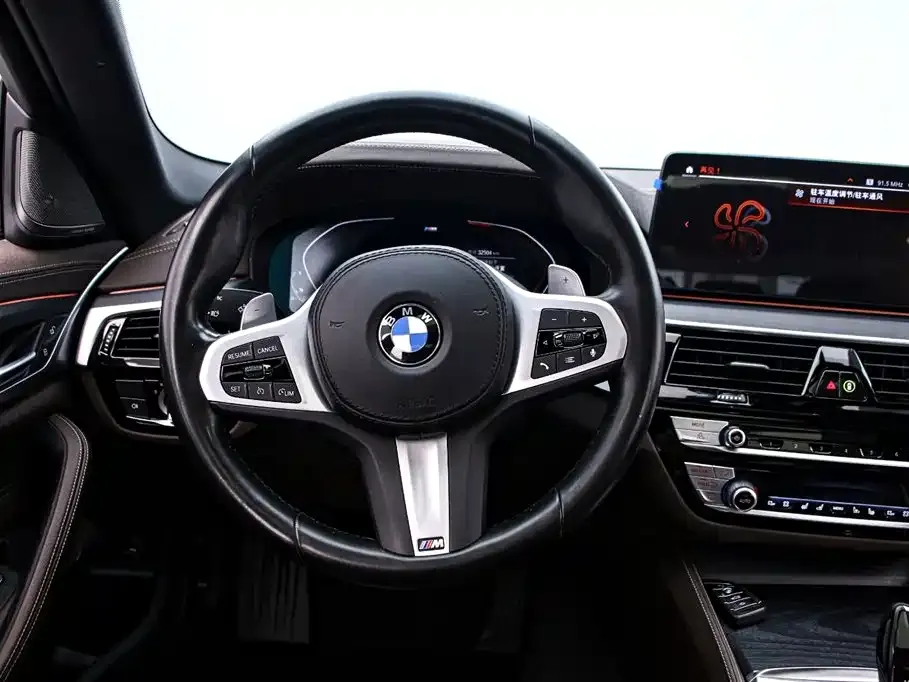 BMW 5 Series 2022 из CN, фото 7