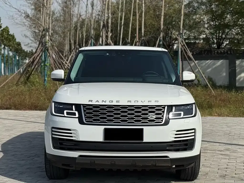 Land Rover Range Rover 2021 из CN, фото 3