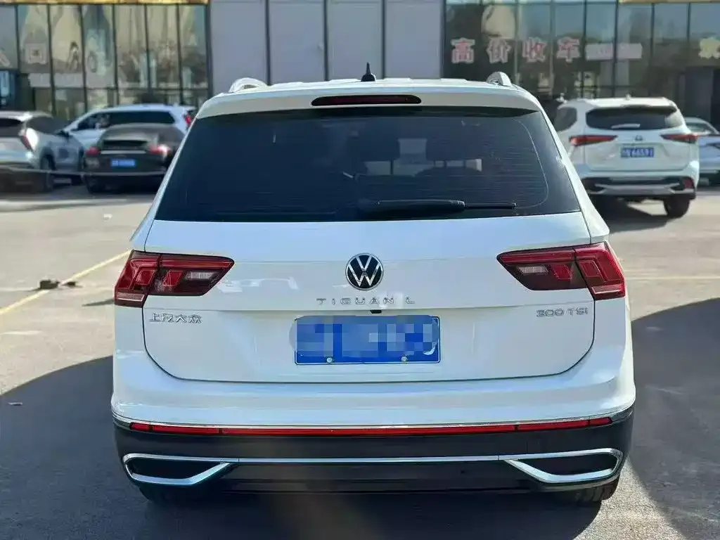 Volkswagen Tiguan L 2023 из CN, фото 8