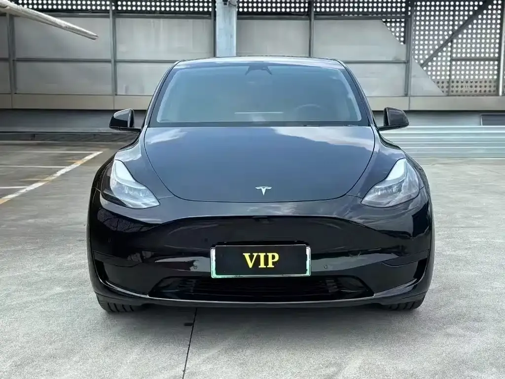 Tesla Model Y 2023 из CN, фото 2