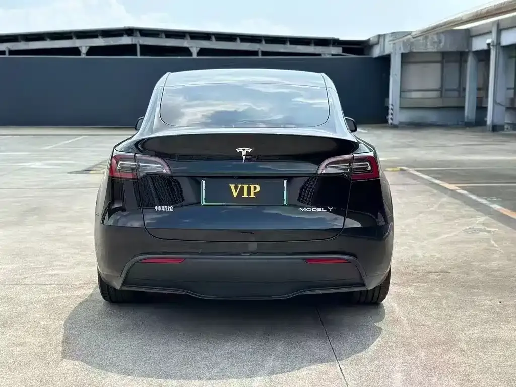 Tesla Model Y 2023 из CN, фото 8