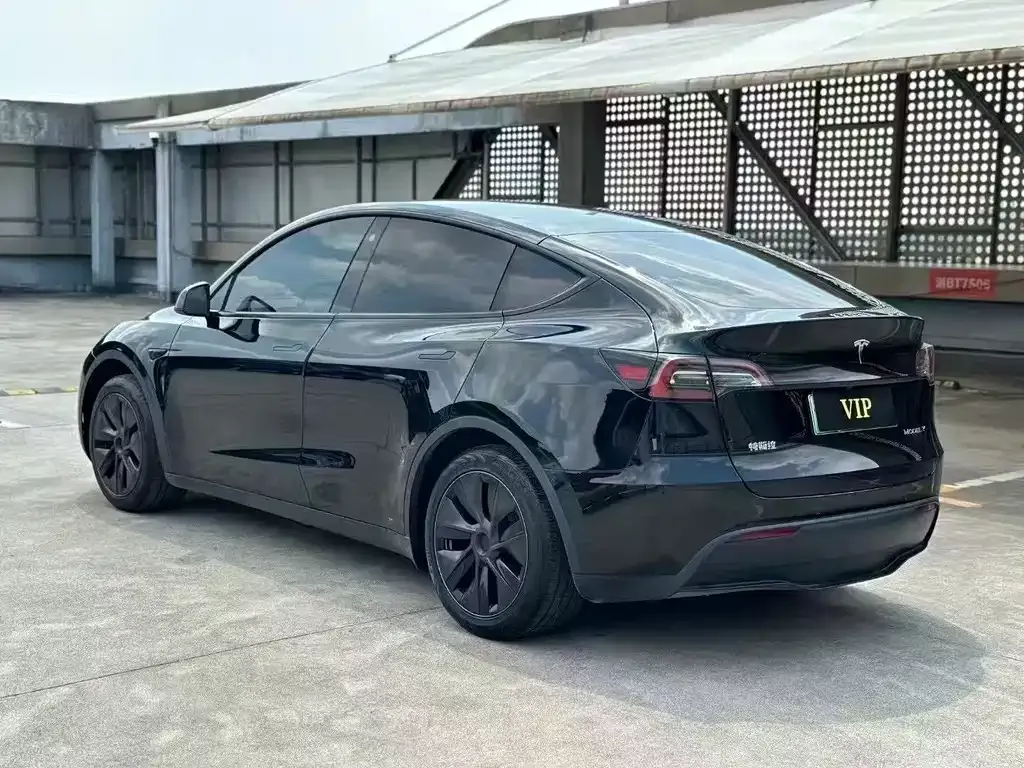 Tesla Model Y 2023 из CN, фото 9
