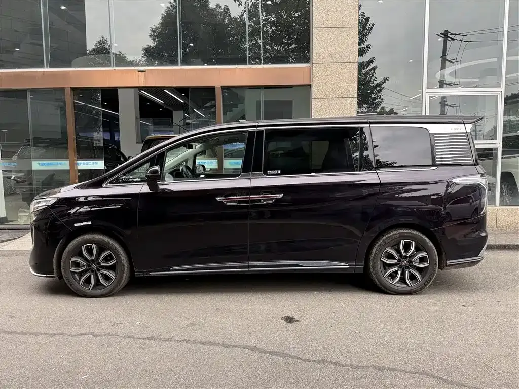 Hongqi HQ9 2023 из CN, фото 3