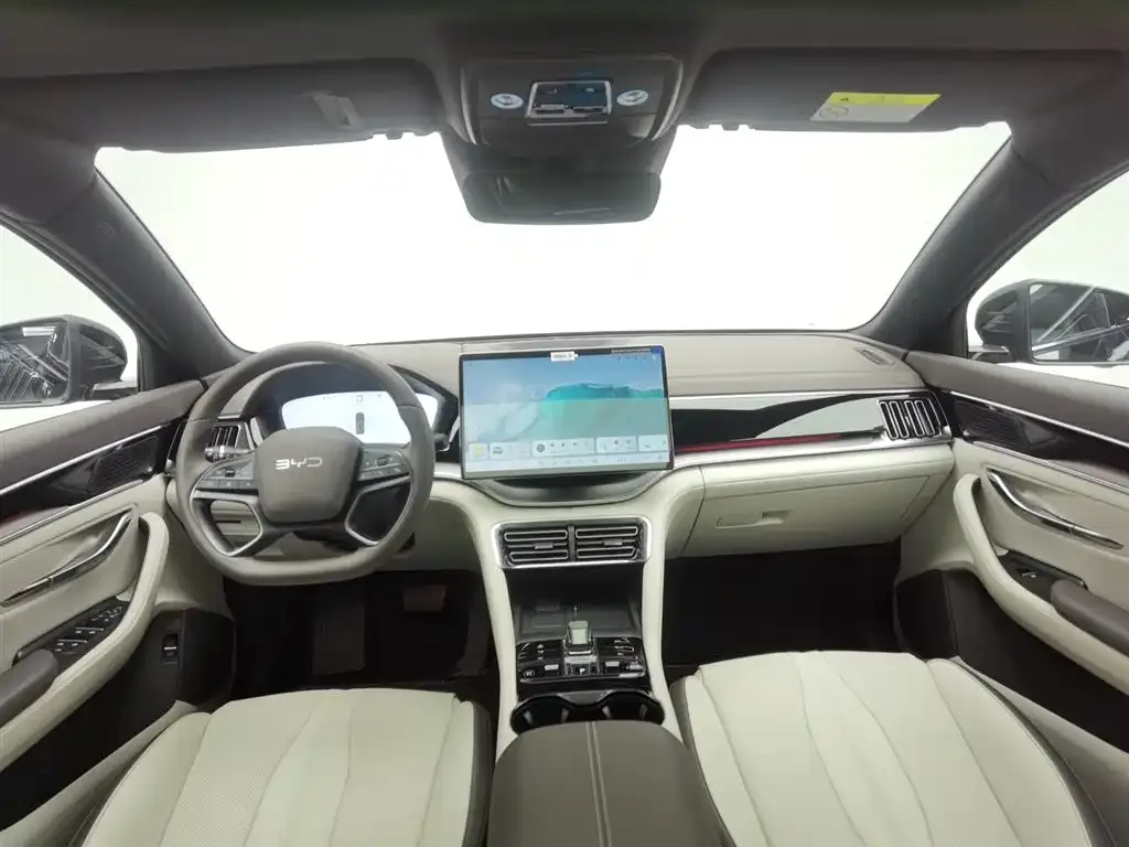 BYD PLUS New Energy 2025 из CN, фото 5