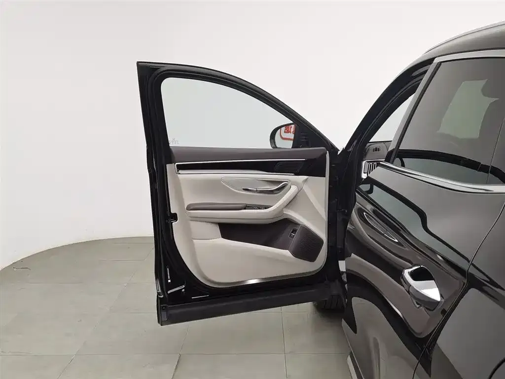 BYD PLUS New Energy 2025 из CN, фото 8