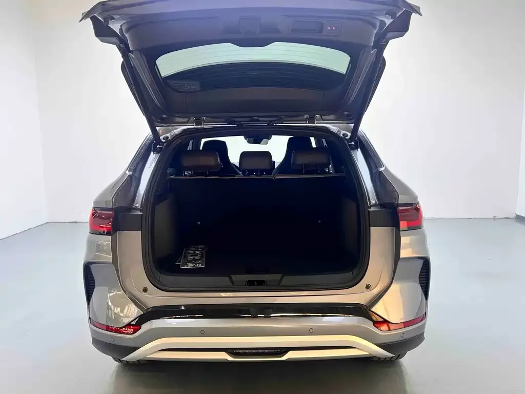 BYD PLUS New Energy 2025 из CN, фото 9