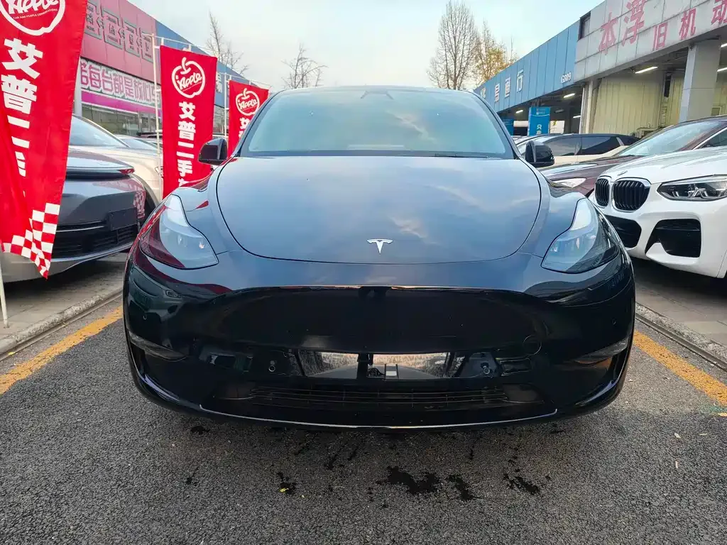 Tesla Model Y 2021 из CN, фото 1