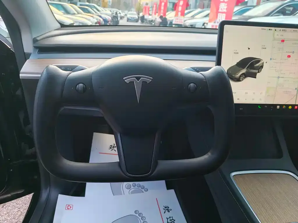 Tesla Model Y 2021 из CN, фото 3