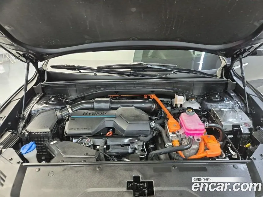 Kia Sorento 2023 из KR, фото 5