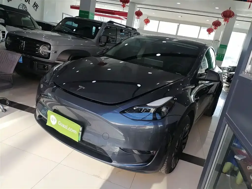 Tesla Model Y 2021 из CN, фото 2