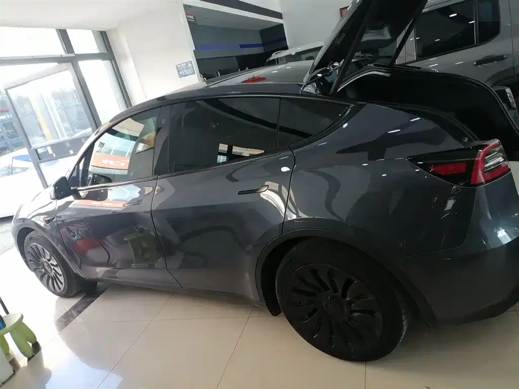 Tesla Model Y 2021 из CN, фото 5