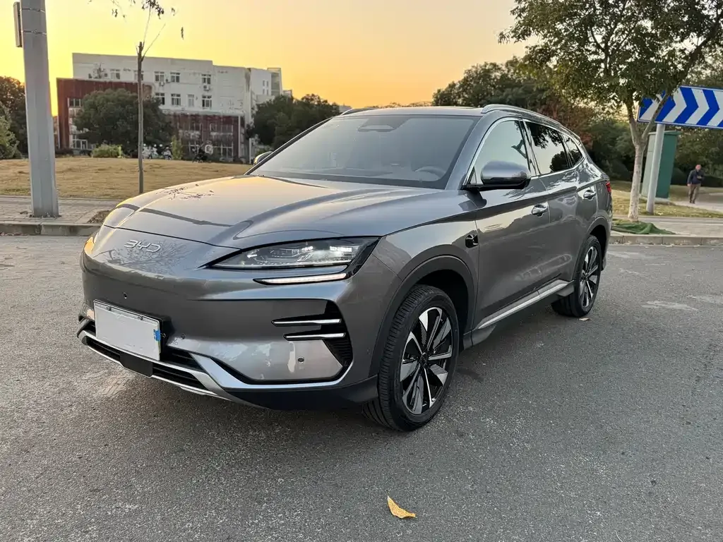 BYD PLUS New Energy 2025 из CN, фото 1