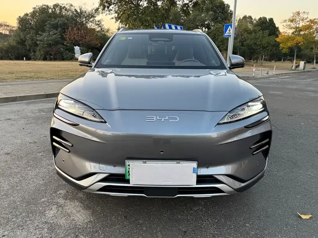 BYD PLUS New Energy 2025 из CN, фото 2