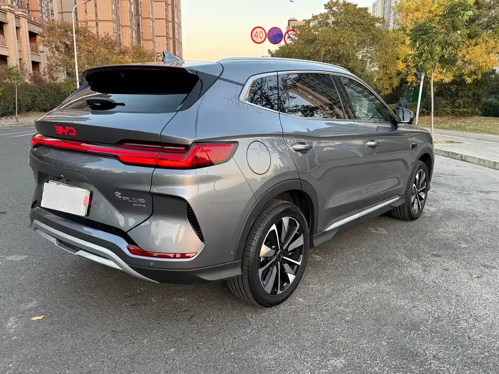 BYD PLUS New Energy 2025 из CN, фото 6