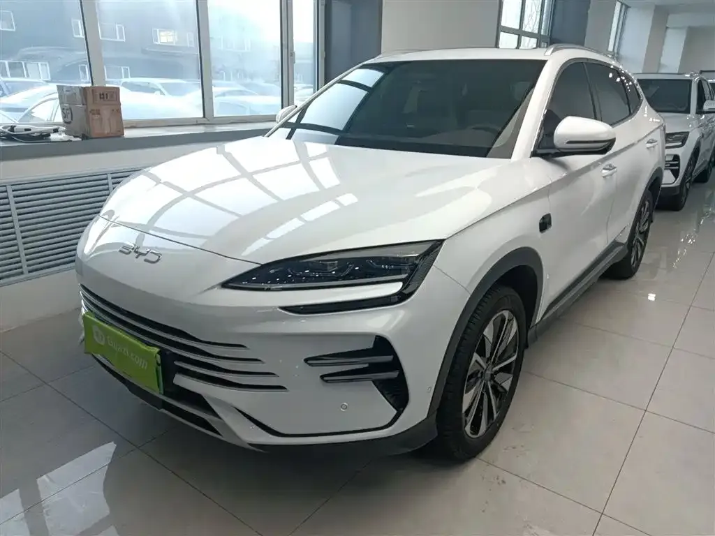 BYD PLUS New Energy 2025 из CN, фото 1