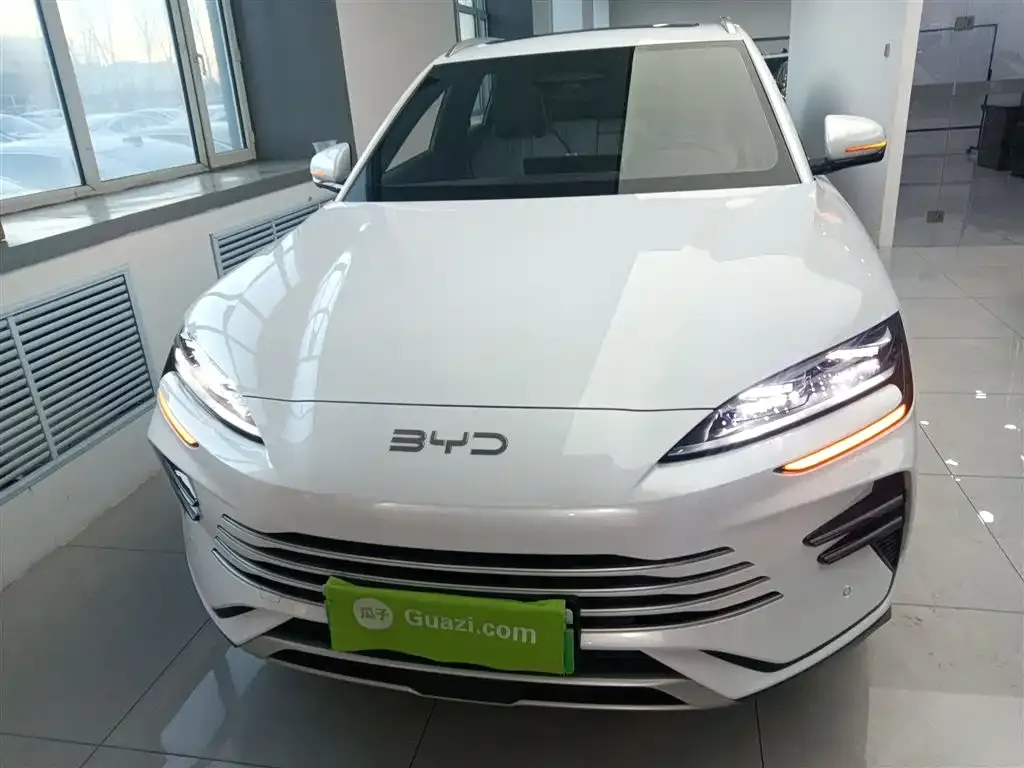 BYD PLUS New Energy 2025 из CN, фото 3