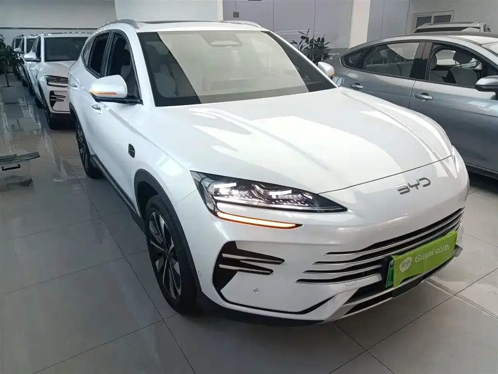 BYD PLUS New Energy 2025 из CN, фото 4