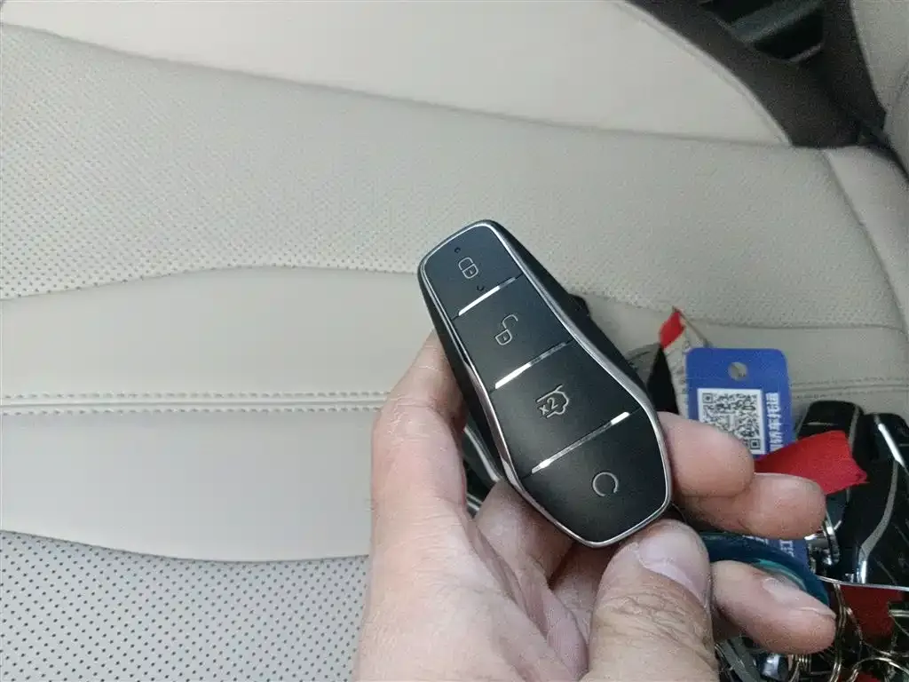 BYD PLUS New Energy 2025 из CN, фото 9
