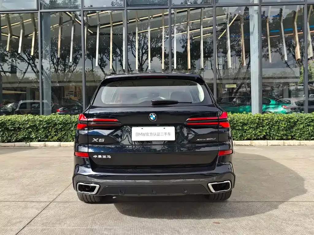 BMW X5 2024 из CN, фото 4