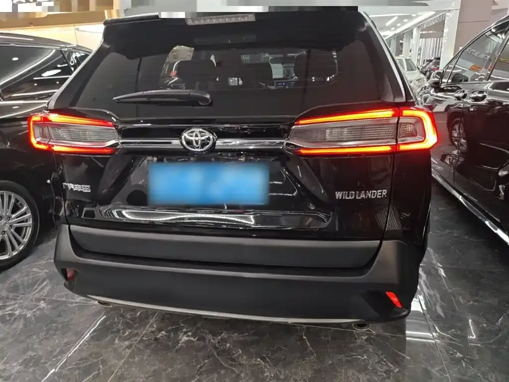 Toyota Wildlander 2022 из CN, фото 6
