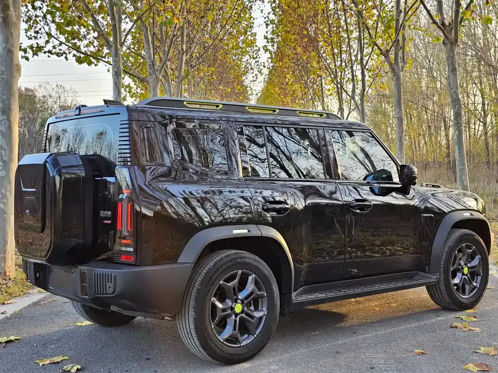 Jetour Traveller 2024 из CN, фото 6