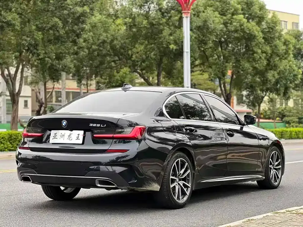 BMW 3 Series 2021 из CN, фото 6