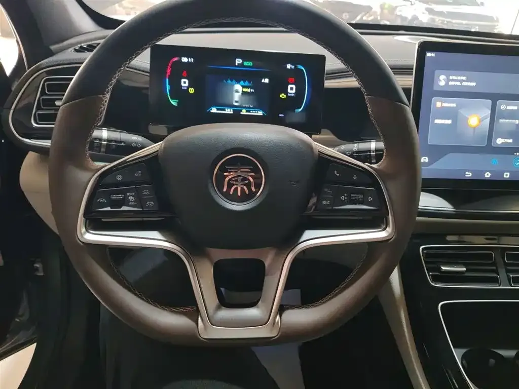 BYD Qin PLUS 2023 из CN, фото 3