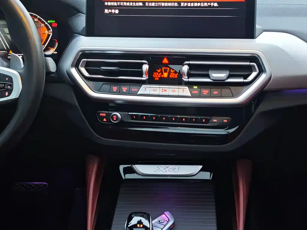 BMW X4 2024 из CN, фото 10