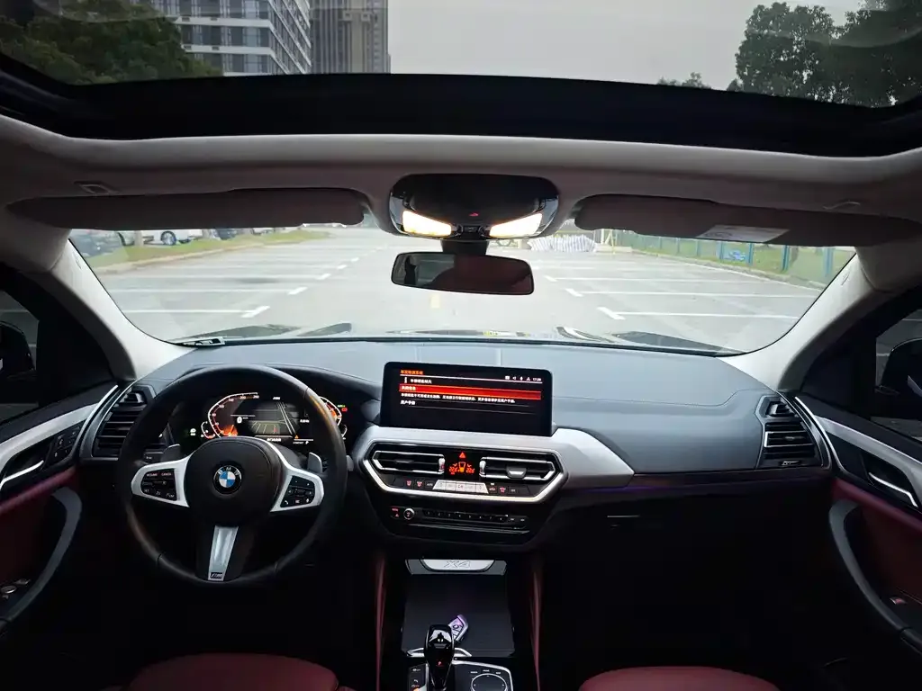 BMW X4 2024 из CN, фото 8