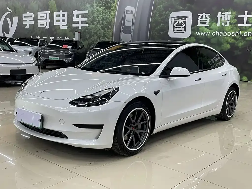 Tesla Model 3 2021 из CN, фото 1