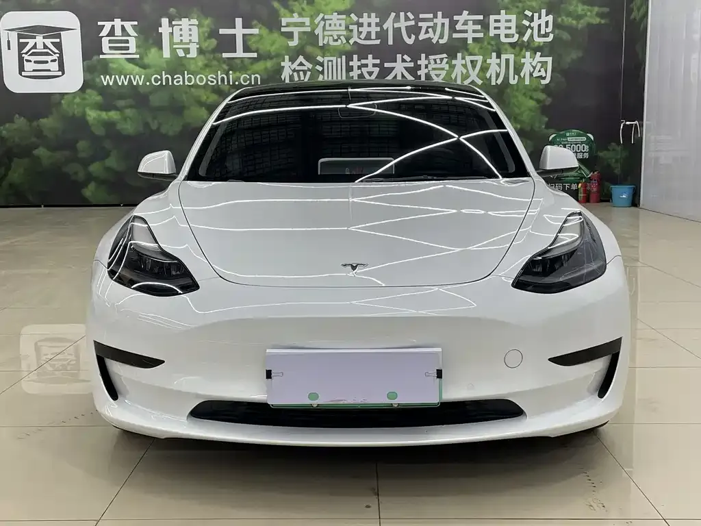 Tesla Model 3 2021 из CN, фото 3