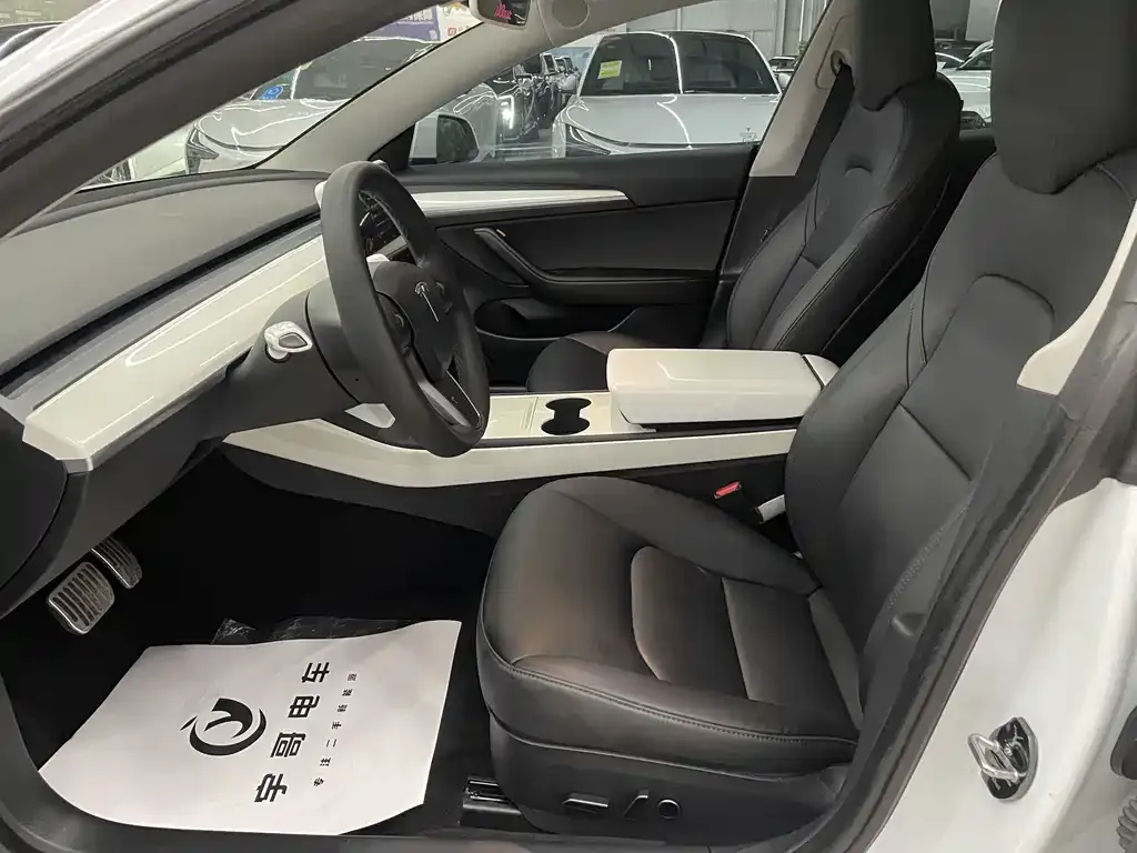 Tesla Model 3 2021 из CN, фото 4
