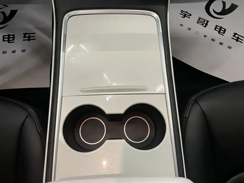 Tesla Model 3 2021 из CN, фото 9