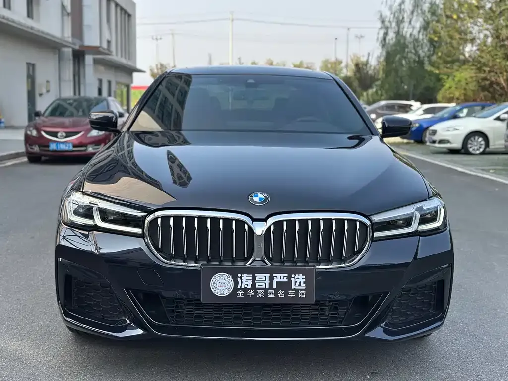 BMW 5 Series 2023 из CN, фото 2